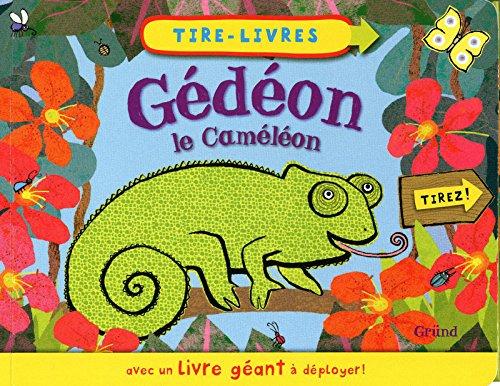 Gédéon le caméléon