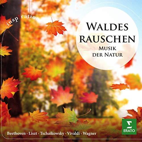 Waldesrauschen - Musik der Natur