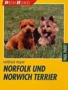 Norfolk und Norwich Terrier: Praktische Ratschläge für Haltung, Pflege und Erziehung