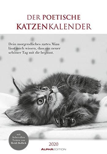 Der poetische Katzenkalender 2020 - Literarischer Bildkalender (24 x 34) - mit Zitaten - schwarz-weiß - Tierkalender - Wandkalender