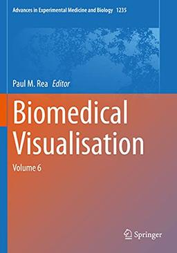 Biomedical Visualisation: Volume 6 (Advances in Experimental Medicine and Biology, 1235, Band 6)