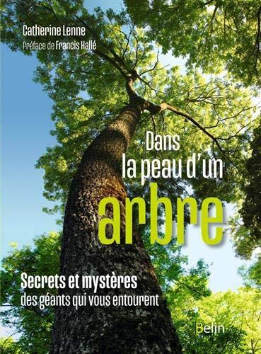 Dans la peau d'un arbre : secrets et mystères des géants qui vous entourent