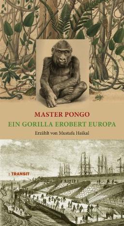 Master Pongo oder Ein Gorilla erobert Europa