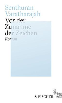 Vor der Zunahme der Zeichen: Roman