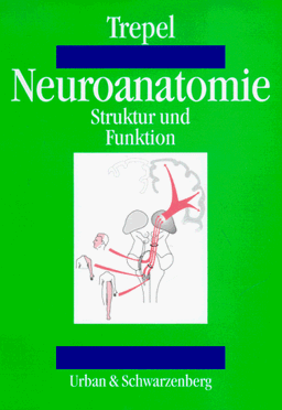 Neuroanatomie. Struktur und Funktion