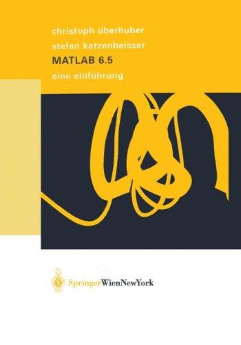 Matlab 6.5: Eine Einführung (German Edition)