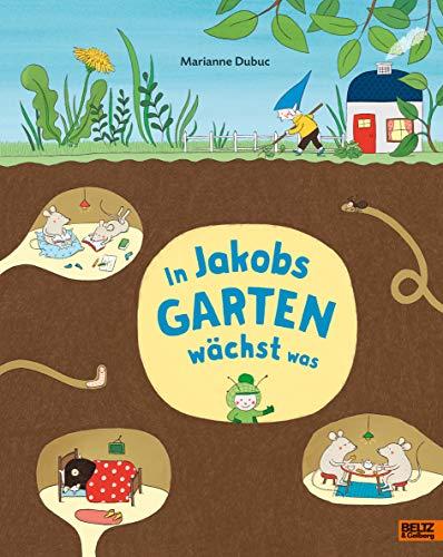 In Jakobs Garten wächst was: Vierfarbiges Bilderbuch