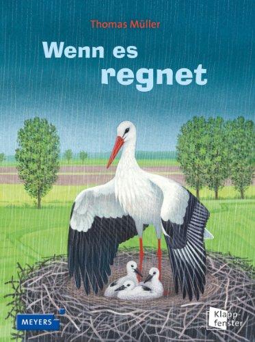 Wenn es regnet