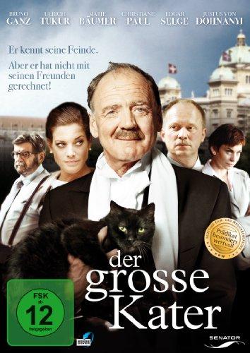 Der große Kater