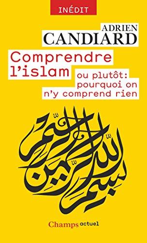 Comprendre l'islam ou plutôt : pourquoi on n'y comprend rien