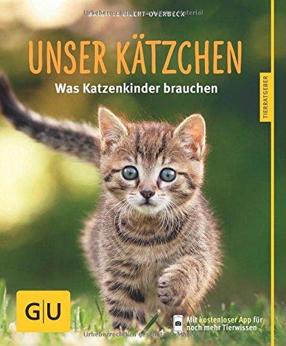 Unser Kätzchen: Was Katzenkinder brauchen