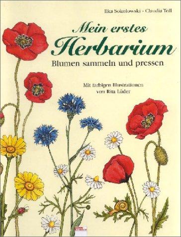 Mein erstes Herbarium: Blumen sammeln und pressen