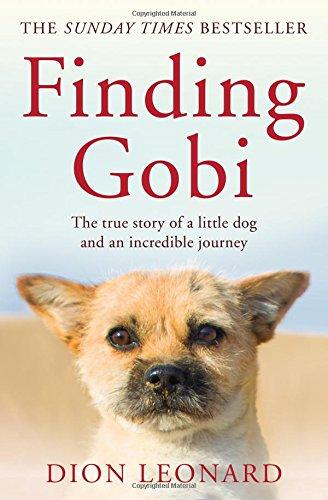 Finding Gobi (Main edition)