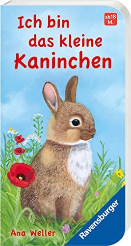 Ich bin das kleine Kaninchen