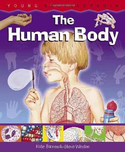 The Human Body: Why Do We Sweat When We Are Hot? How Do We Fight Germs? Age (Young Encyclopedia)