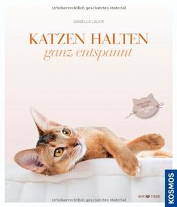 Katzen halten, ganz entspannt: Wohlfühlideen für jeden Tag