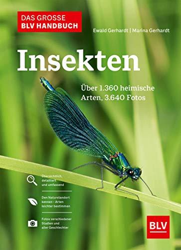 Das große BLV Handbuch Insekten: Über 1360 heimische Arten, 3640 Fotos (Natur)