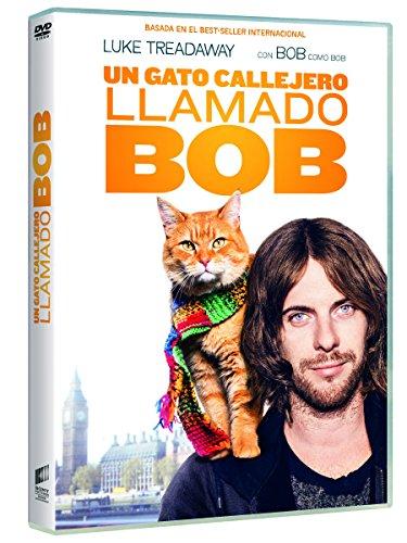 Bob, der Streuner (A street cat named bob, Spanien Import, siehe Details für Sprachen)