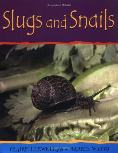 Slugs and Snails (Minibeasts)