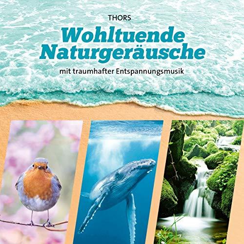 Wohltuende Naturgeräusche: Naturgeräusche mit traumhafter Entspannungsmusik