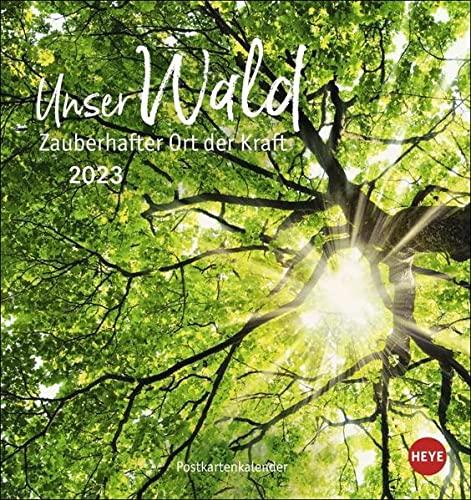 Unser Wald Postkartenkalender 2023 - Kalender mit perforierten Postkarten - zum Aufstellen und Aufhängen - mit Monatskalendarium - 16 x 17 cm: zauberhafter Ort der Kraft