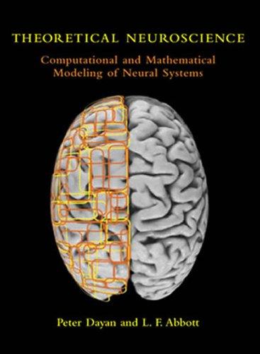 Theoretical Neuroscience: Computational and Mathematical Modeling of Neural Systems (Computational Neuroscience)