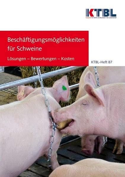 Beschäftigungsmöglichkeiten für Schweine: Lösungen - Bewertungen - Kosten