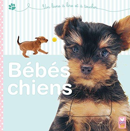 Bébés chiens