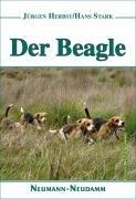 Der Beagle