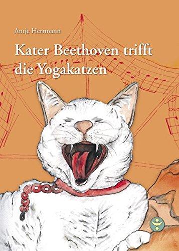 Kater Beethoven trifft die Yogakatzen