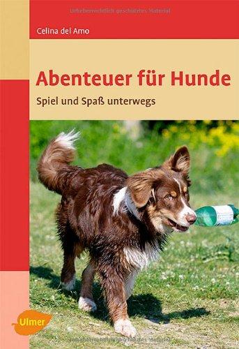 Abenteuer für Hunde: Spiel und Spaß unterwegs