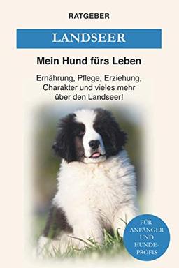 Landseer: Ernährung, Pflege, Erziehung, Charakter und vieles mehr über den Landseer