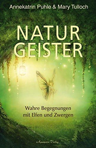 Naturgeister: Wahre Begegnungen mit Elfen und Zwergen