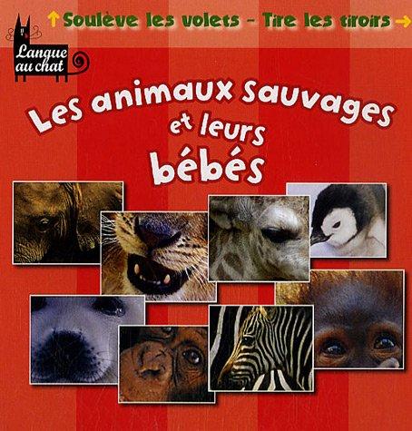 Les animaux sauvages et leurs bébés