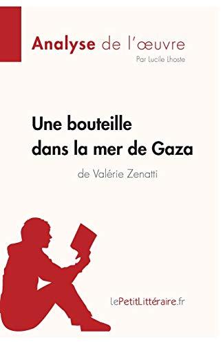 Une bouteille dans la mer de Gaza de Valérie Zenatti (Fiche de lecture) : Analyse complète et résumé détaillé de l'oeuvre