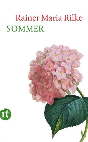 Sommer (insel taschenbuch)