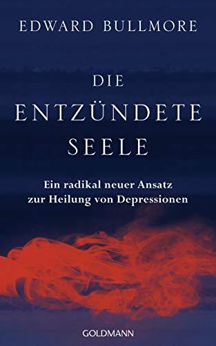 Die entzündete Seele: Ein radikal neuer Ansatz zur Heilung von Depressionen