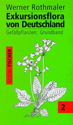 Rothmaler, Exkursionsflora Bd.2: Gefässpflanzen: Grundband