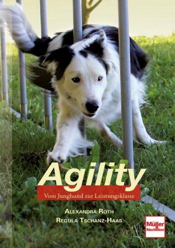 Agility: Vom Junghund zur Leistungsklasse