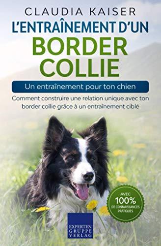 L’entraînement d’un border collie – un entraînement pour ton chien: Comment construire une relation unique avec ton border collie grâce à un entraînement ciblé