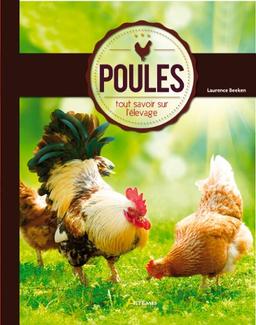 Poules : tout savoir sur l'élevage