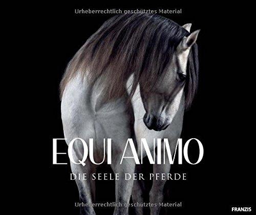 EQUI Animo - Die Seele der Pferde | Pferdefotografie | Equine Photography by Wiebke Haas