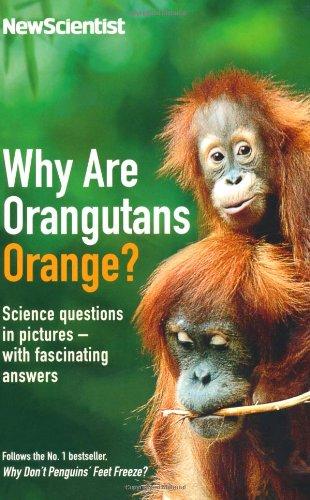 Why are Orangutans Orange?