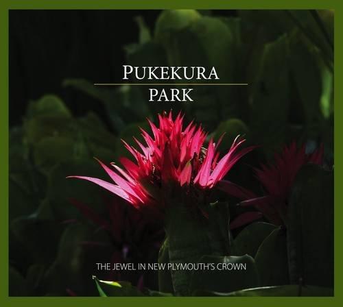 Pukekura Park: The Jewel in New Plymouth's Crown