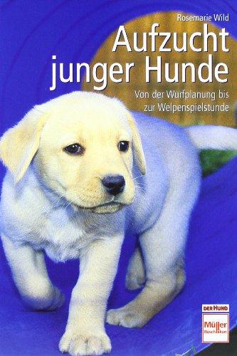 Aufzucht junger Hunde: Von der Wurfplanung bis zur Welpenspielstunde