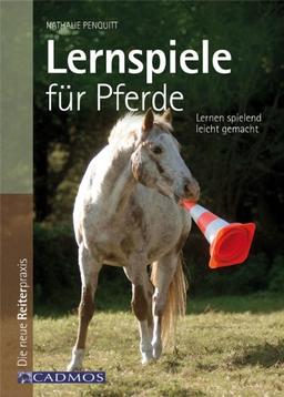 Lernspiele für Pferde: Lernen spielend leicht gemacht