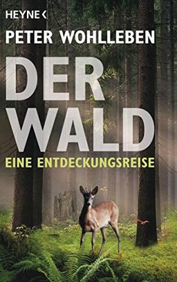 Der Wald: Eine Entdeckungsreise