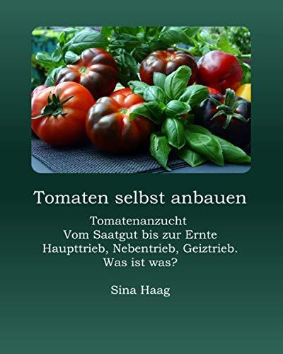 Tomaten selbst anbauen: Tomatenanzucht von Saatgut bis zur Ernte. Haupttrieb, Nebentrieb, Geiztrieb. Was ist was? Übergroße Blüten, was tun?