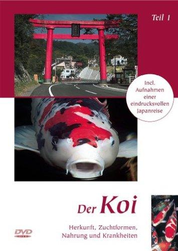 Der Koi - Teil 1