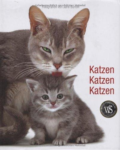 Katzen Katzen Katzen